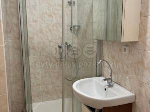 Prodej bytu 1+kk, Louny, Čs. armády, 24 m2