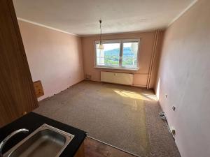 Prodej bytu 1+1, Děčín, Dvořákova, 40 m2