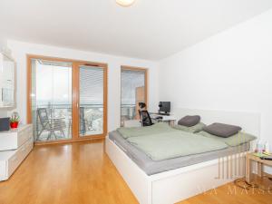 Pronájem bytu 1+kk, Praha - Krč, Panuškova, 44 m2