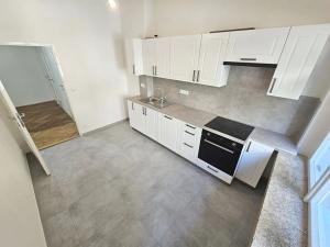 Pronájem bytu 1+1, Praha - Vinohrady, Řipská, 52 m2