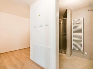 Prodej bytu 2+kk, Brno, Bystrcká, 56 m2