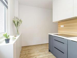 Prodej bytu 2+1, Ostrava, Patrice Lumumby, 60 m2