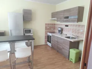 Prodej bytu 1+1, Česká Lípa, Jižní, 37 m2