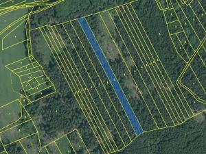 Prodej lesa, Hradiště, 5650 m2