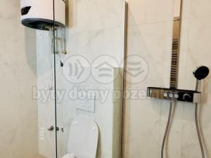 Pronájem bytu 2+kk, Opava - Předměstí, Riegrova, 54 m2