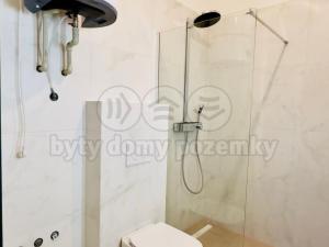 Pronájem bytu 2+kk, Opava - Předměstí, Riegrova, 54 m2