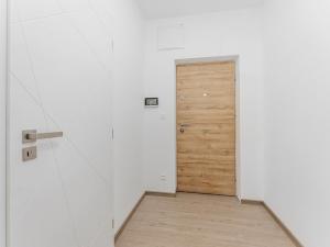 Pronájem bytu 1+kk, Brno - Černovice, Faměrovo náměstí, 29 m2