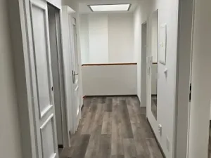 Pronájem bytu 4+kk, Praha - Žižkov, Jeseniova, 87 m2