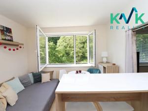 Prodej bytu 1+1, Loket, Sportovní, 36 m2
