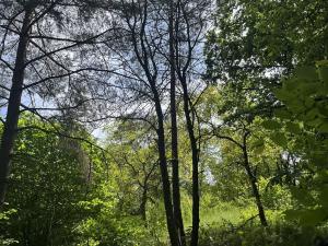 Pronájem sadu/vinice, Praha - Točná, Ke starému hřišti, 3842 m2