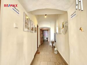 Pronájem obchodního prostoru, Jílové u Prahy, Pražská, 243 m2