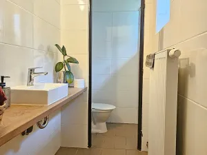 Pronájem obchodního prostoru, Jílové u Prahy, Pražská, 243 m2