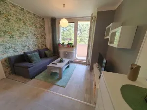Pronájem bytu 1+1, Jihlava, Březinova, 42 m2