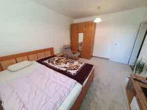 Pronájem bytu 1+1, Jihlava, Březinova, 42 m2