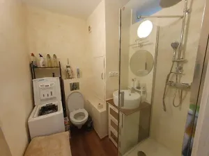 Pronájem bytu 1+1, Jihlava, Březinova, 42 m2