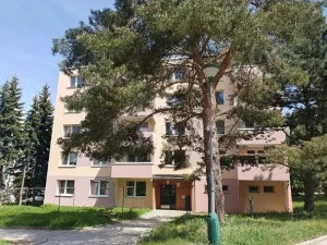 Pronájem bytu 1+1, Jihlava, Březinova, 42 m2