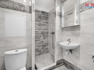 Pronájem bytu 1+1, Děčín - Děčín IX-Bynov, Na Vyhlídce, 33 m2