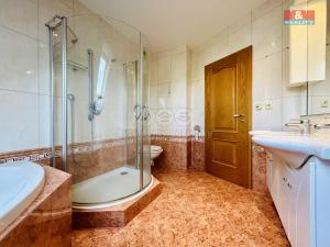 Pronájem bytu 3+kk, Klatovy - Klatovy V, Měchurova, 112 m2