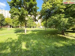 Prodej bytu 1+1, Brno, Stará osada, 42 m2