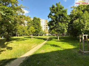Prodej bytu 1+1, Brno, Stará osada, 42 m2