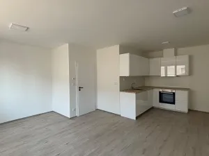 Pronájem bytu 2+kk, Klimkovice, Resnerova, 59 m2