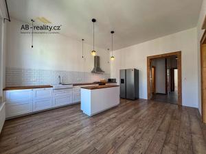 Pronájem bytu 3+1, Teplice, Ruská, 105 m2
