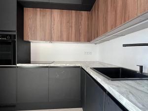 Prodej bytu 1+kk, Brno, Reissigova, 42 m2