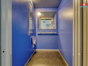 Prodej bytu 2+kk, Plzeň - Černice, Střední cesta, 54 m2