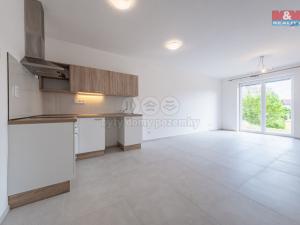 Pronájem bytu 1+kk, Vojkov, 42 m2