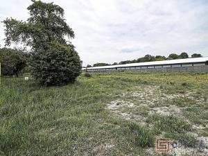 Prodej pozemku pro bydlení, Velké Albrechtice, 1285 m2