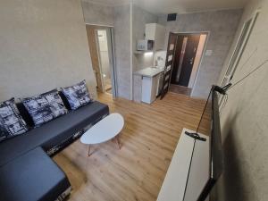 Pronájem bytu 1+kk, Ostrava - Moravská Ostrava, Žofinská, 27 m2