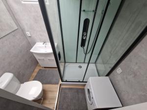 Pronájem bytu 1+kk, Ostrava - Moravská Ostrava, Žofinská, 27 m2