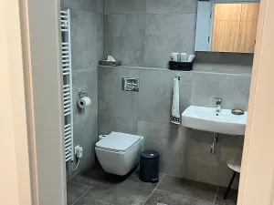 Pronájem bytu 1+kk, České Budějovice, Chelčického, 47 m2