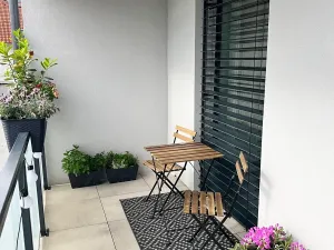 Pronájem bytu 1+kk, České Budějovice, Chelčického, 47 m2