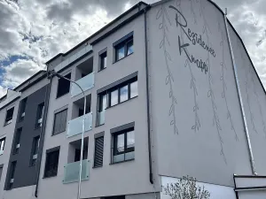 Pronájem bytu 1+kk, České Budějovice, Chelčického, 47 m2