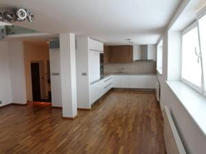 Pronájem atypického bytu, Praha - Nusle, U družstva Ideál, 103 m2