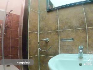 Prodej bytu 2+1, České Budějovice, Riegrova, 70 m2