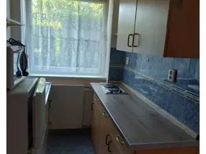 Pronájem bytu 1+1, Holubice, U Parku, 45 m2