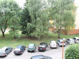 Pronájem bytu 1+kk, České Budějovice, Dobrovodská, 21 m2