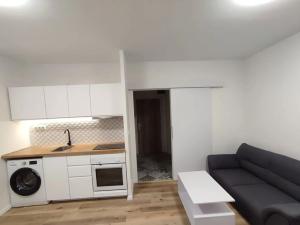 Pronájem bytu 1+kk, Plzeň, alej Svobody, 36 m2