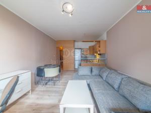 Pronájem bytu 1+kk, Ostrava - Moravská Ostrava, U Parku, 24 m2