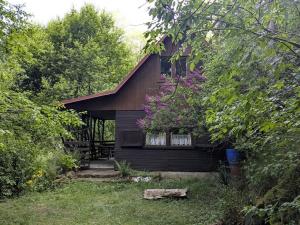 Prodej chaty, Družec, 40 m2