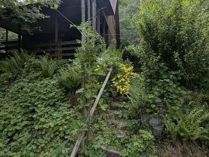 Prodej chaty, Družec, 40 m2