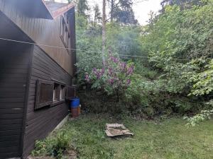 Prodej chaty, Družec, 40 m2