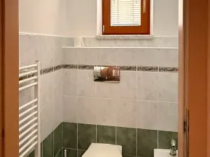 Prodej vícegeneračního domu, Jihlava, Jungmannova, 236 m2