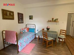 Pronájem bytu 1+kk, Praha - Vinohrady, Na zájezdu, 25 m2