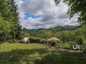 Prodej chaty, Nedvědice, 36 m2