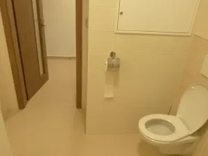 Pronájem bytu 1+kk, Zlín, Zelinova, 27 m2