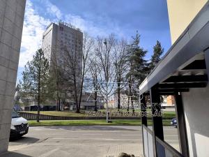 Pronájem restaurace, České Budějovice, Fráni Šrámka, 155 m2