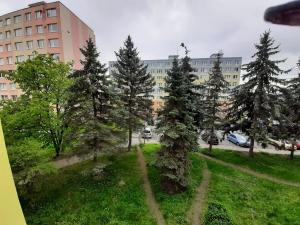 Pronájem bytu 2+kk, Litvínov, Hamerská, 40 m2